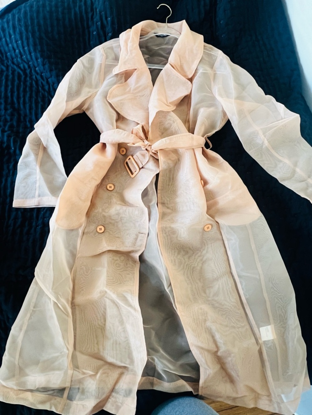 Sheer Blush Trench Coat with Belt